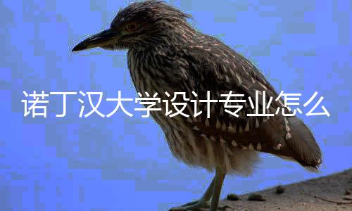诺丁汉大学设计专业怎么样?