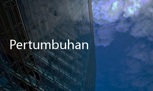 Pertumbuhan Ekonomi Global Melambat, Ekonom Soroti Pentingnya Penyusunan Ulang Strategi Fiskal